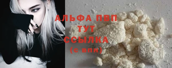 сатива Баксан