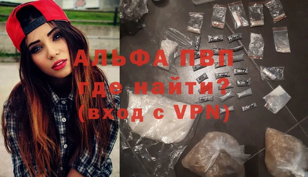сатива Баксан