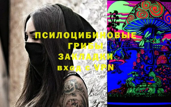 сатива Баксан