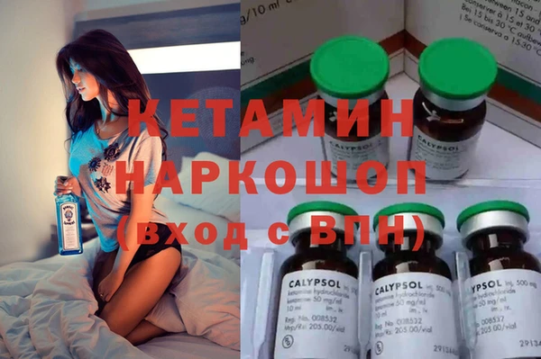 сатива Баксан